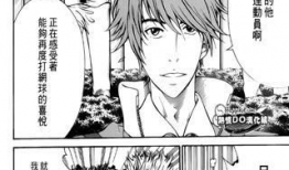 新网球王子漫画免费阅读,激战再起，青春热血篇章免费开启