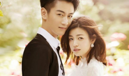 娱乐圈吃瓜夫妻小说推荐,揭秘那些隐藏在闪光灯下的爱情故事